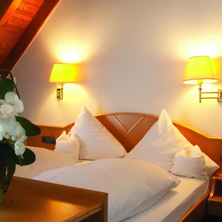 Hotel Hotel-restaurant Hirsch Berghaupten