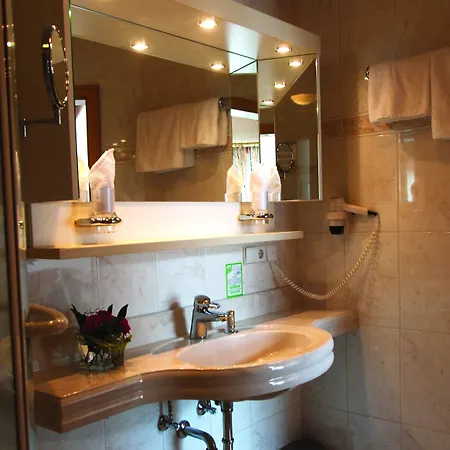 Hotel-restaurant Hirsch Hotel 3*