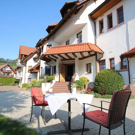 Hotel Hotel-Restaurant Hirsch 3*