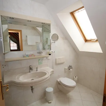 Hotel Hotel-Restaurant Hirsch 3*