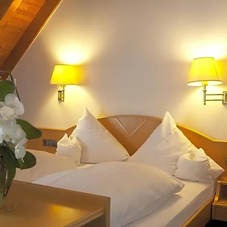 Hotel-restaurant Hirsch Hotel