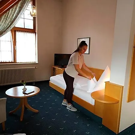 Hotel-restaurant Hirsch 3*