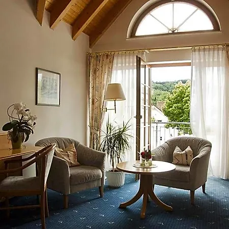 Hotel-restaurant Hirsch Hotel 3*