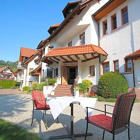 Hotel Hotel-restaurant Hirsch Berghaupten