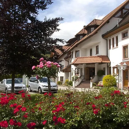 Hotel-restaurant Hirsch 3*