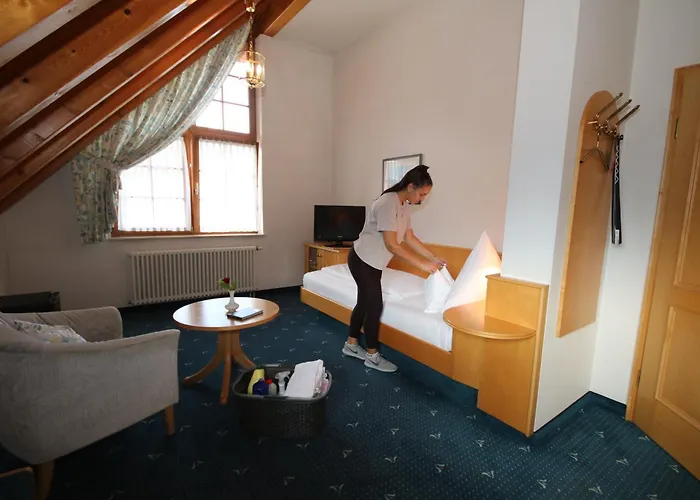 Hotel-Restaurant Hirsch Hotel 3*