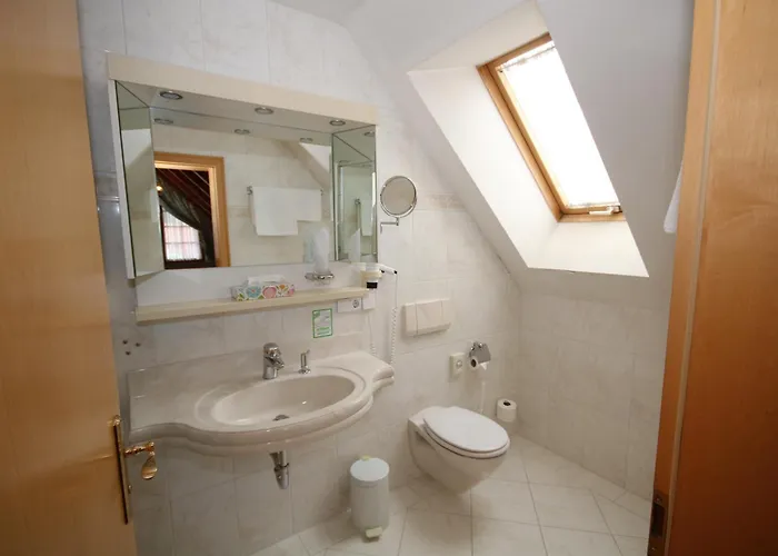 Hotel Hotel-Restaurant Hirsch 3*