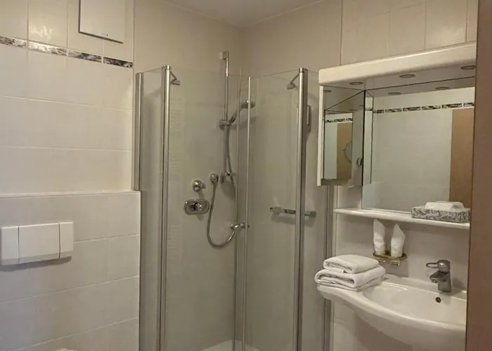 Hotel-Restaurant Hirsch 3*